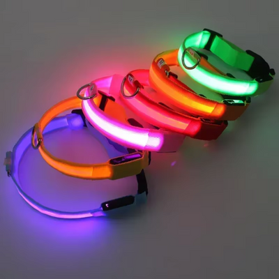 GlowBuddy Halsband – Zichtbaarheid voor Elke Avondwandeling