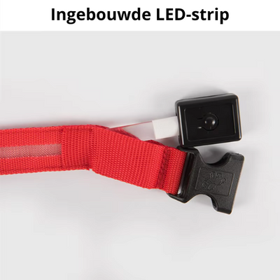 GlowBuddy Halsband – Zichtbaarheid voor Elke Avondwandeling