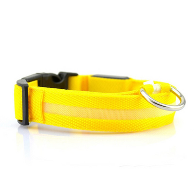 GlowBuddy Halsband – Zichtbaarheid voor Elke Avondwandeling
