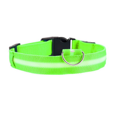GlowBuddy Halsband – Zichtbaarheid voor Elke Avondwandeling