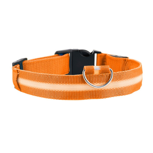 GlowBuddy Halsband – Zichtbaarheid voor Elke Avondwandeling