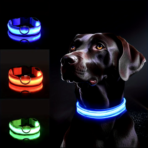 GlowBuddy Halsband – Zichtbaarheid voor Elke Avondwandeling