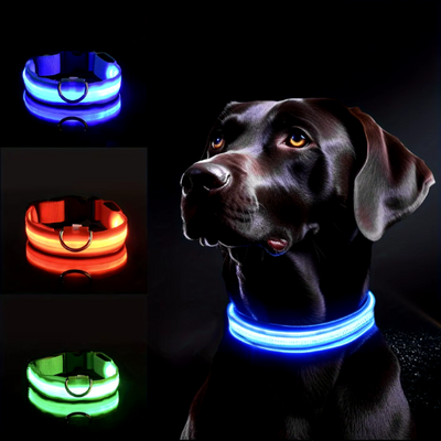 GlowBuddy Halsband – Zichtbaarheid voor Elke Avondwandeling