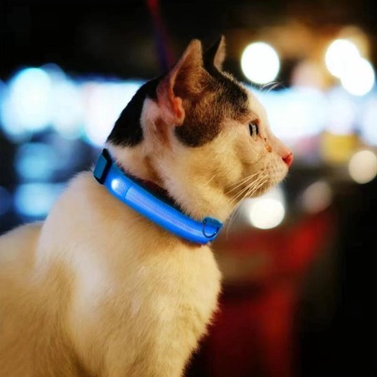 GlowBuddy Halsband – Zichtbaarheid voor Elke Avondwandeling