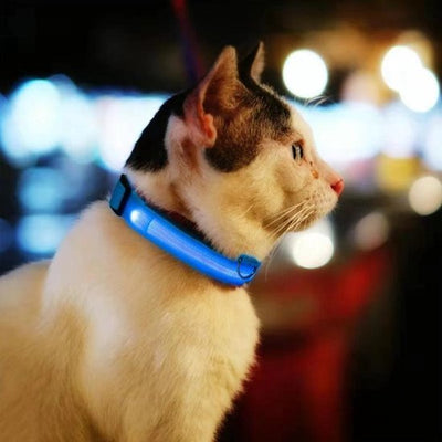 GlowBuddy Halsband – Zichtbaarheid voor Elke Avondwandeling