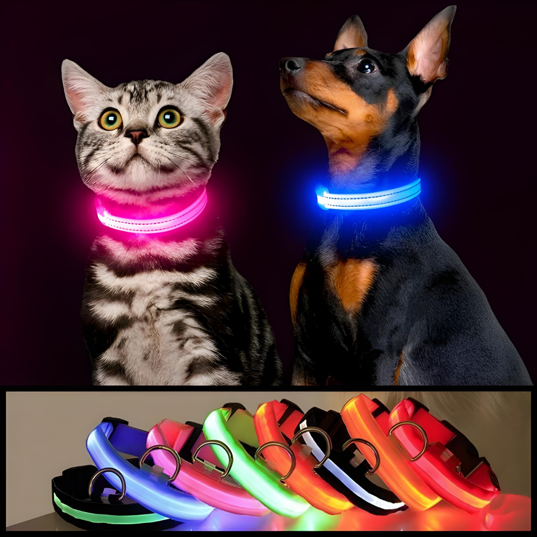 GlowBuddy Halsband – Zichtbaarheid voor Elke Avondwandeling