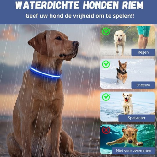 GlowBuddy Halsband – Zichtbaarheid voor Elke Avondwandeling