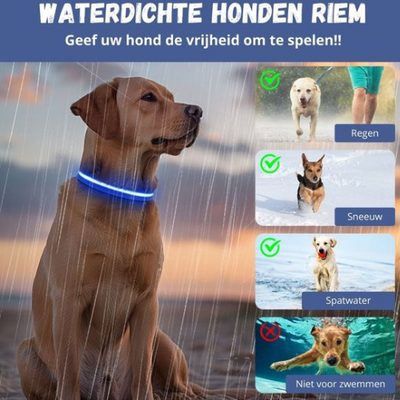 GlowBuddy Halsband – Zichtbaarheid voor Elke Avondwandeling